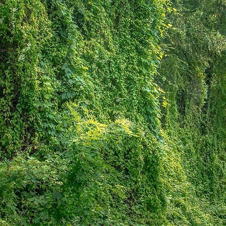 Вілла Turisticna Kmetija Stanfel Подсаботин Екстер'єр фото