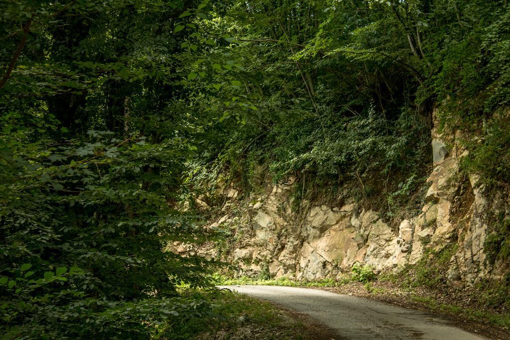 Вілла Turisticna Kmetija Stanfel Подсаботин Екстер'єр фото
